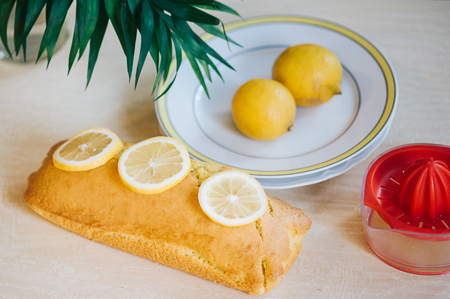 agence communication visuelle studio mijote éco-resonsable cake au citron